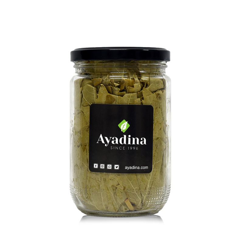 Dry Vine Leaves