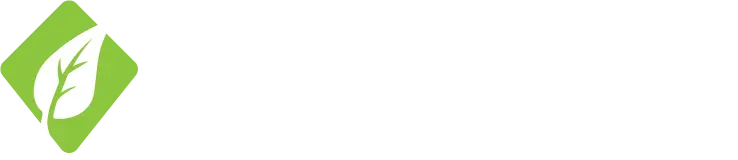 Ayadina